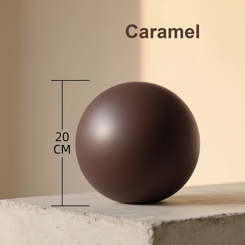 20cm Matte Exercise Ball Barre - огляд і ціна Pilates Yoga Ball Workout