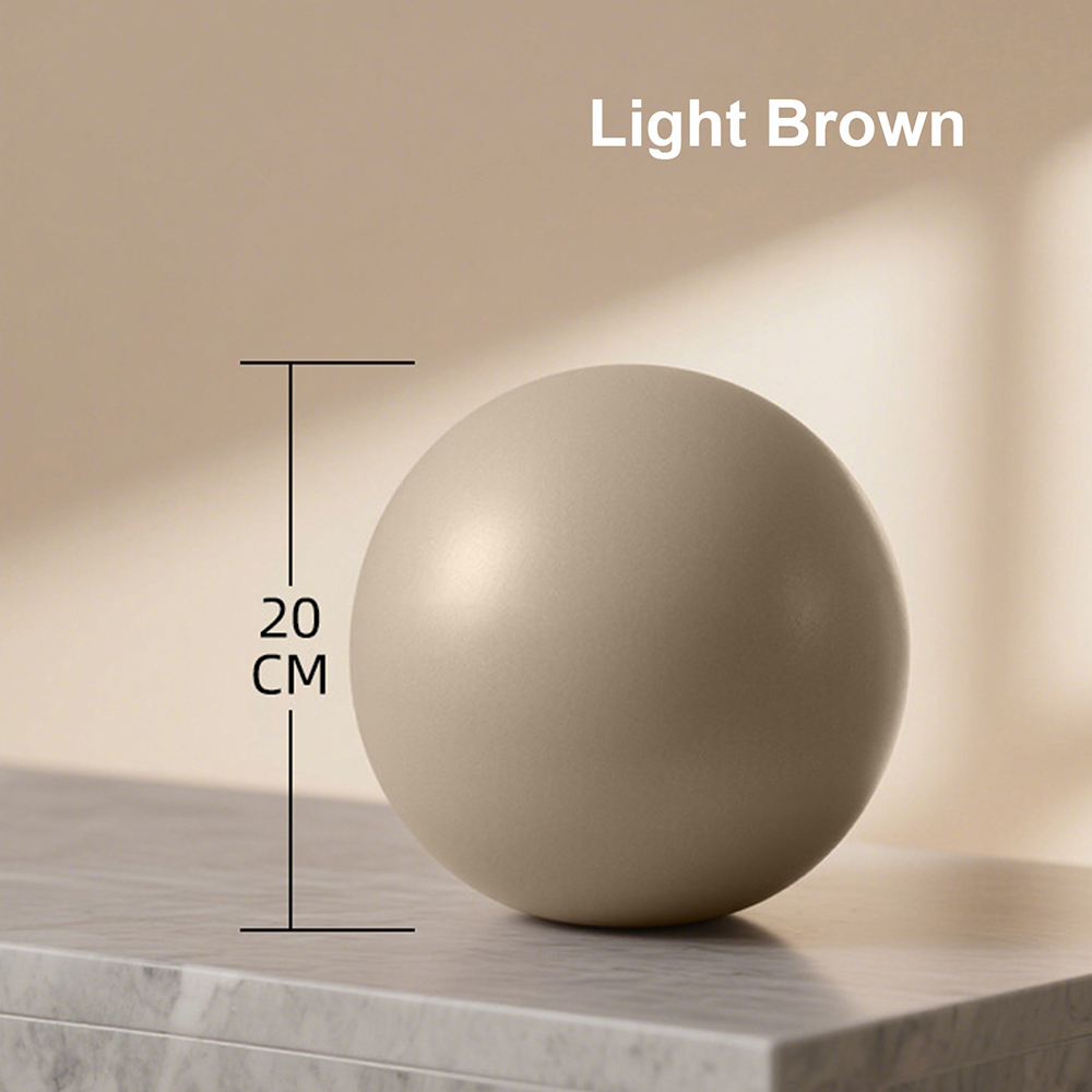 20cm Matte Exercise Ball Barre - огляд і ціна Pilates Yoga Ball Workout